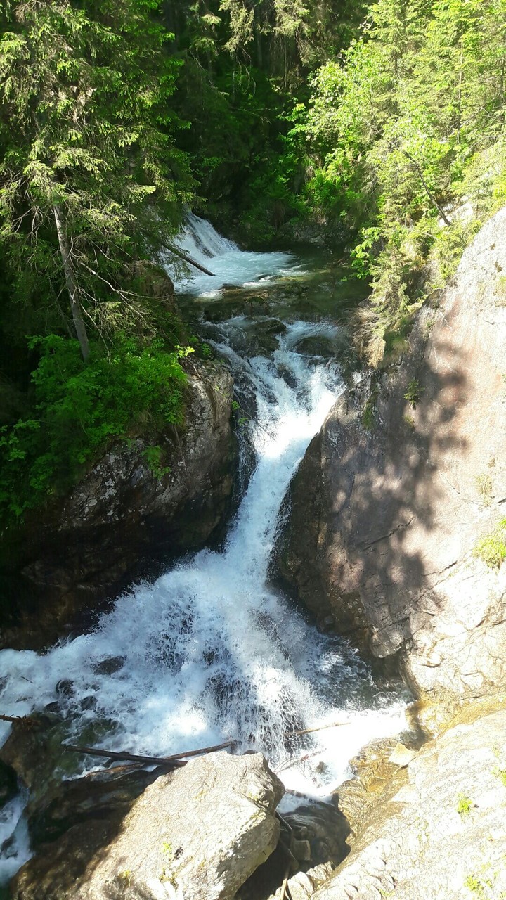 Proland<3