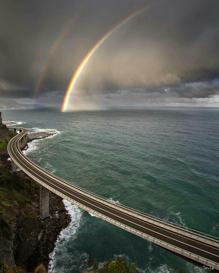 All the love you at Rainbow Bridge