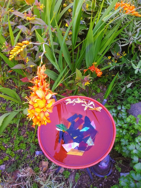 color garden