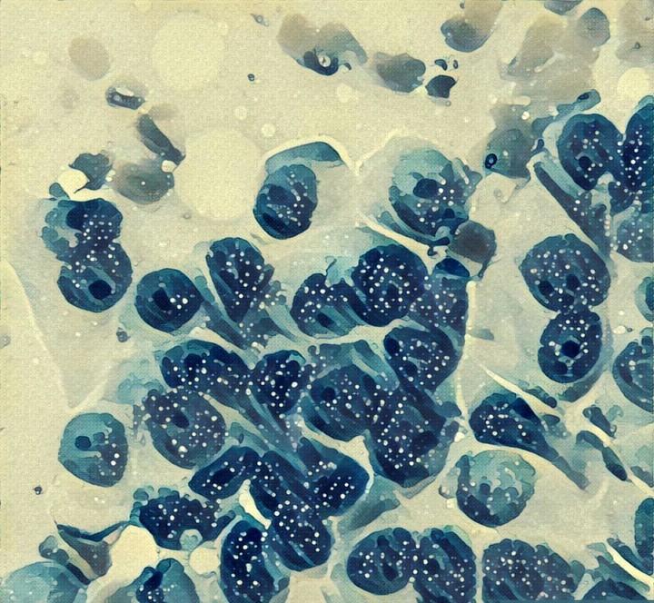 Beautiful cells