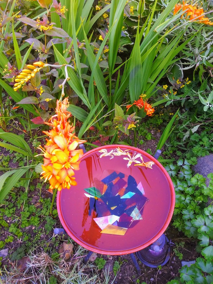 color garden