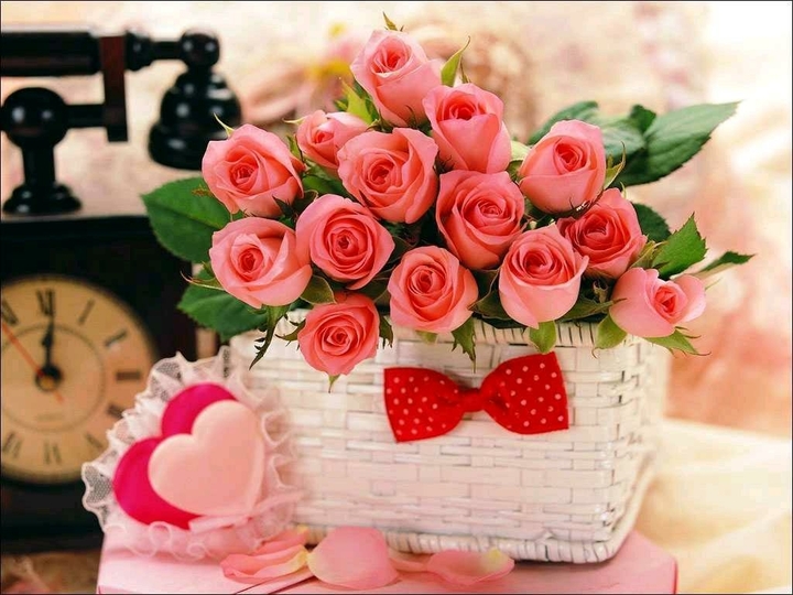 roses