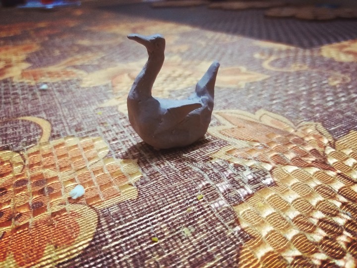swan without life