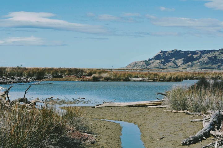 Wairau Lagoon