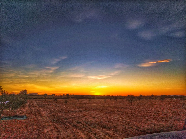 #NATURE