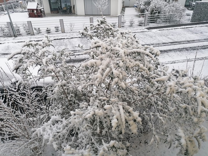 Es hat geschneit. Snow tonight.