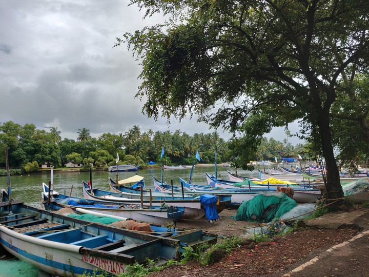 boats