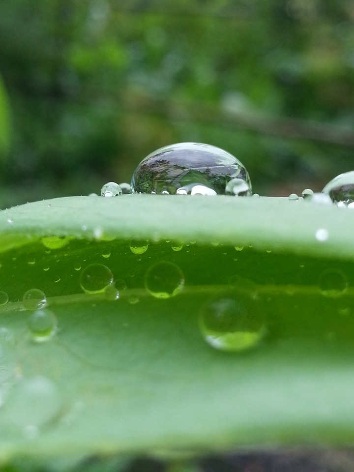 raindrop