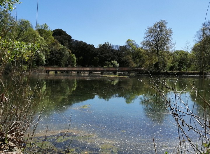 river