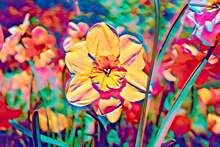 ❀❀❀