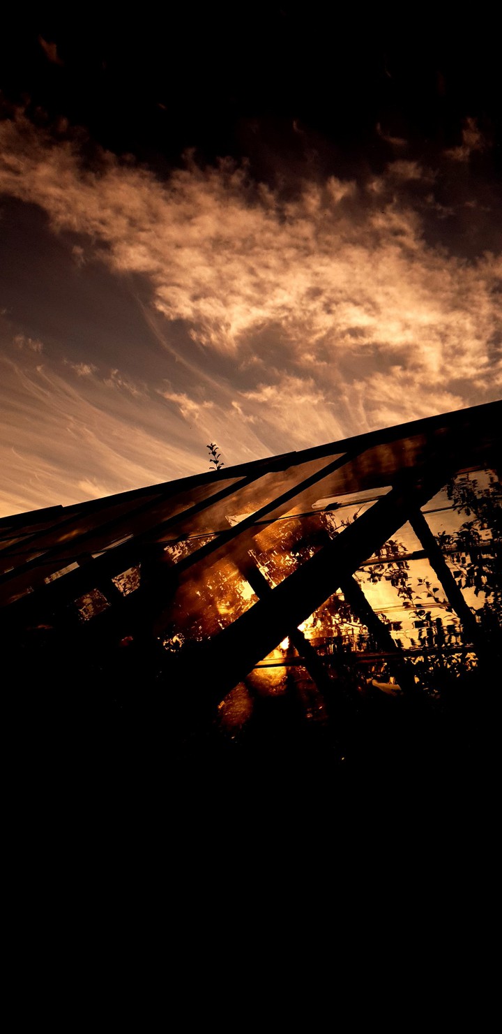 amber sunset