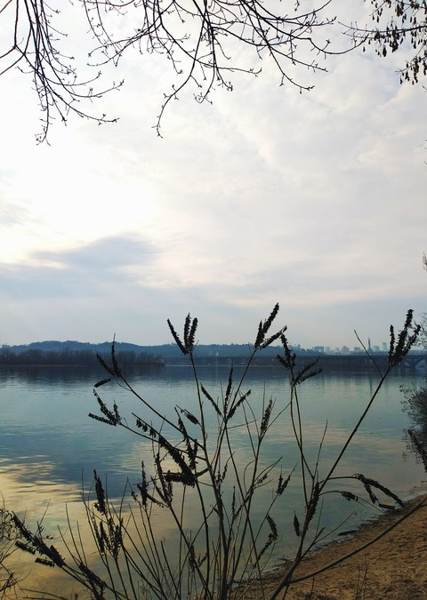 plant, landscapes वॉलपेपर