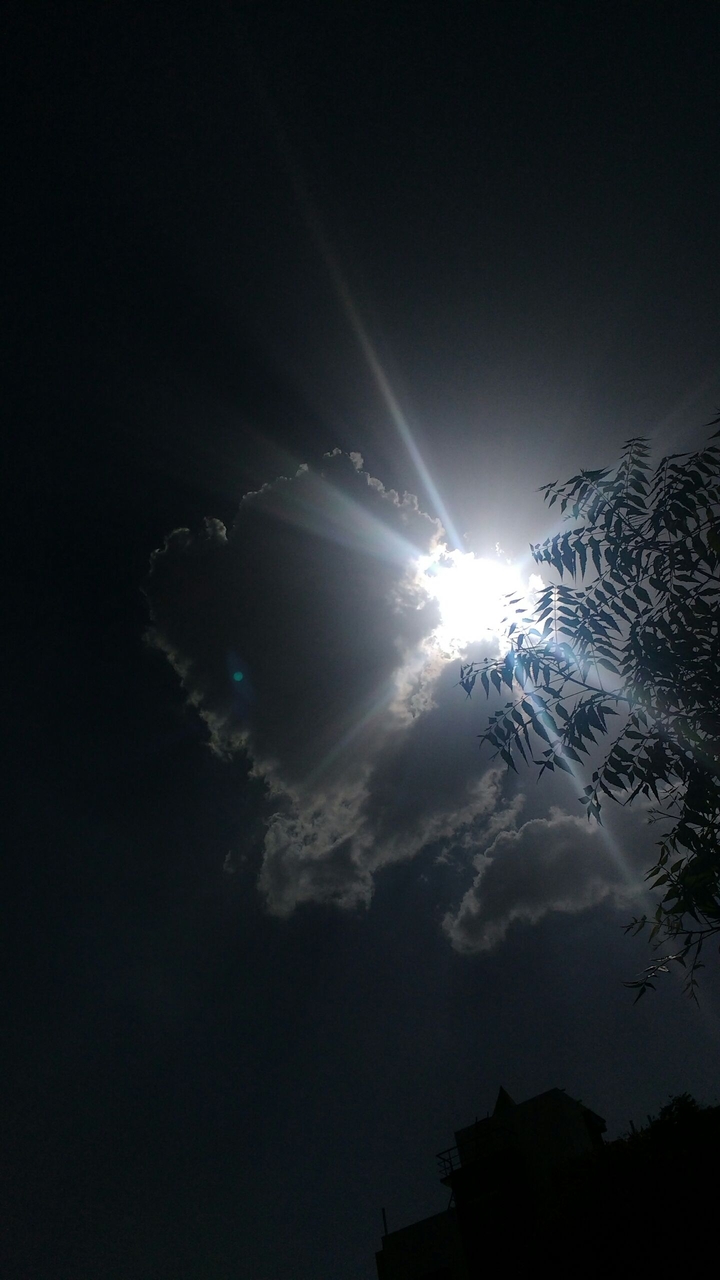 nature
