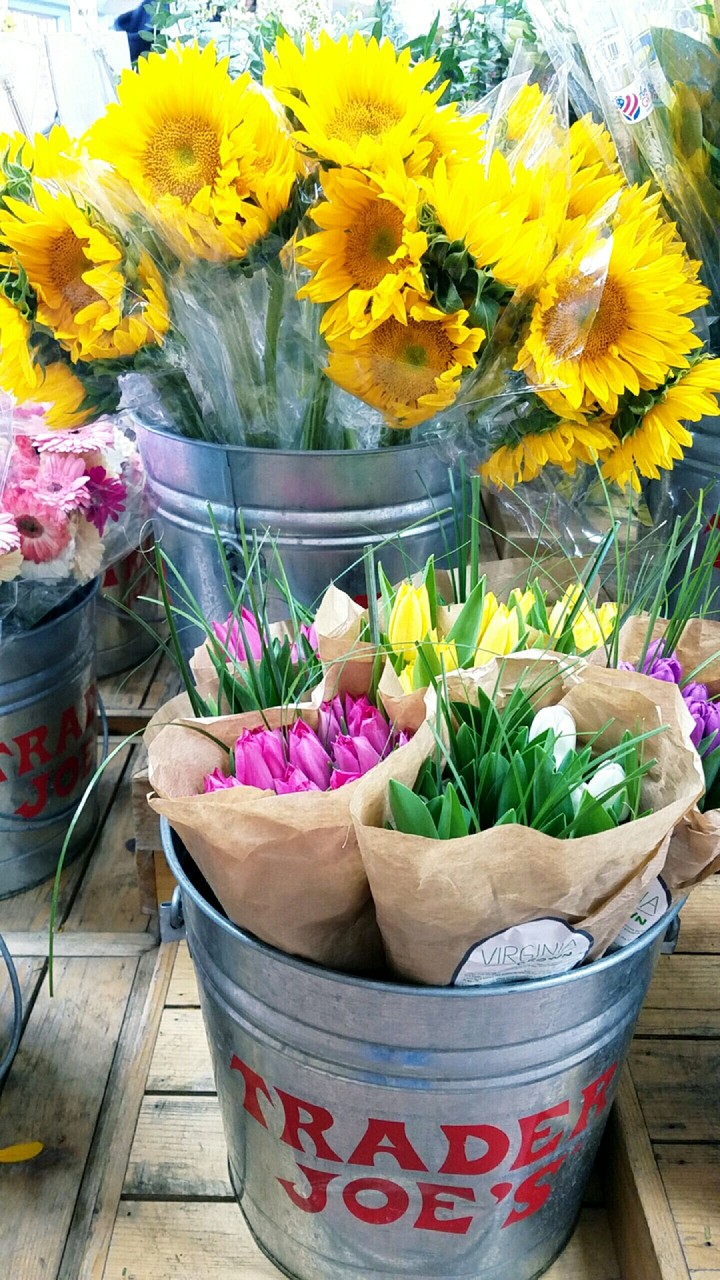 Spring Flowers