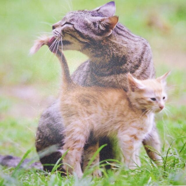 Brothers