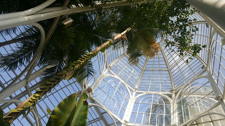 Jardim  Botânico- Curitiba