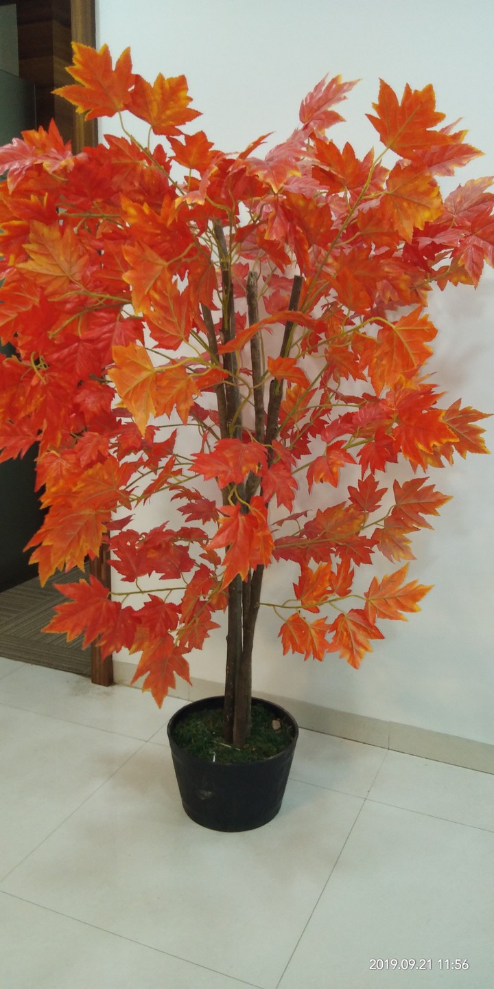 happy tree