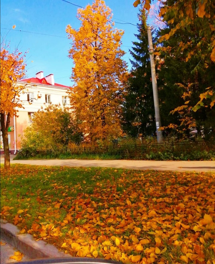 осень