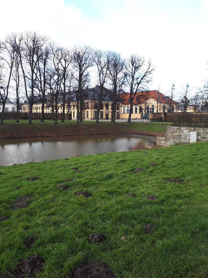 Hanover