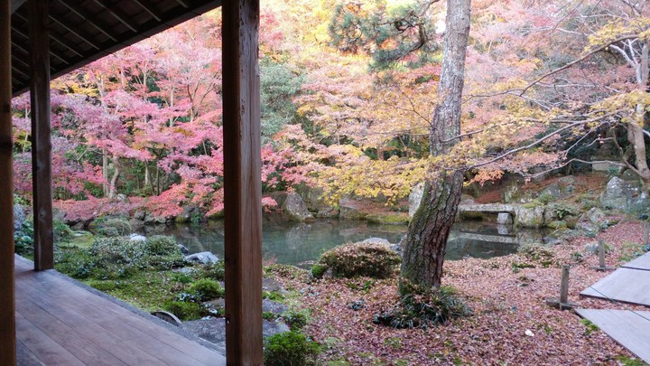 autumn garden