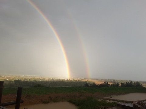 rainbow
