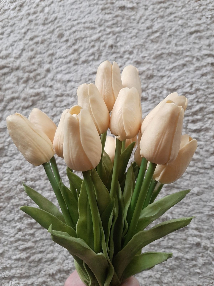 Tulip