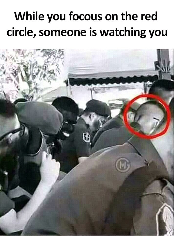 read quotes carefully