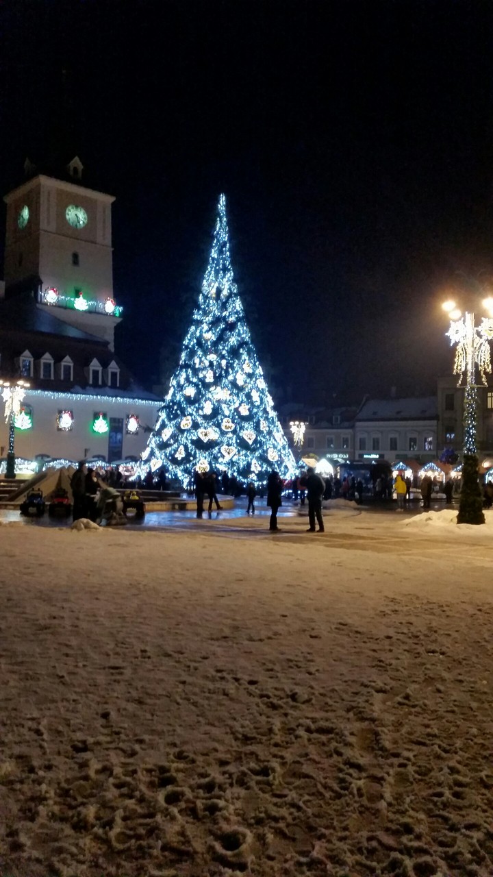 Christmas Tree