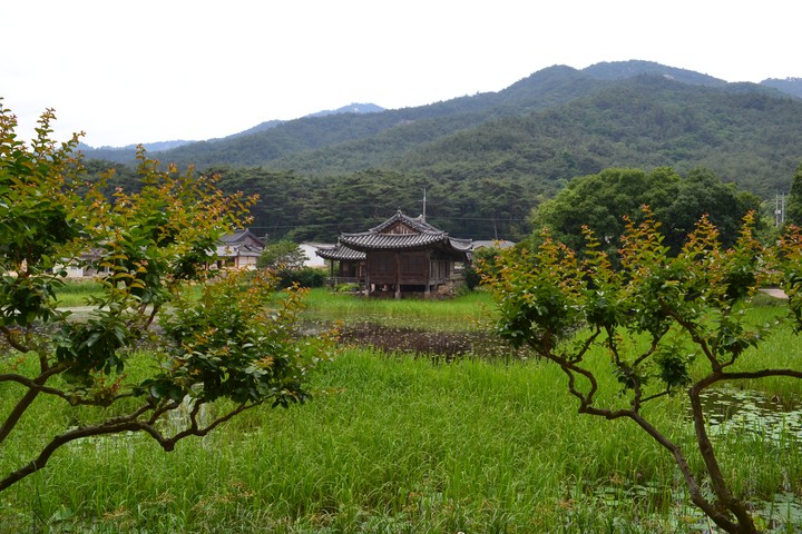 풍경이미지