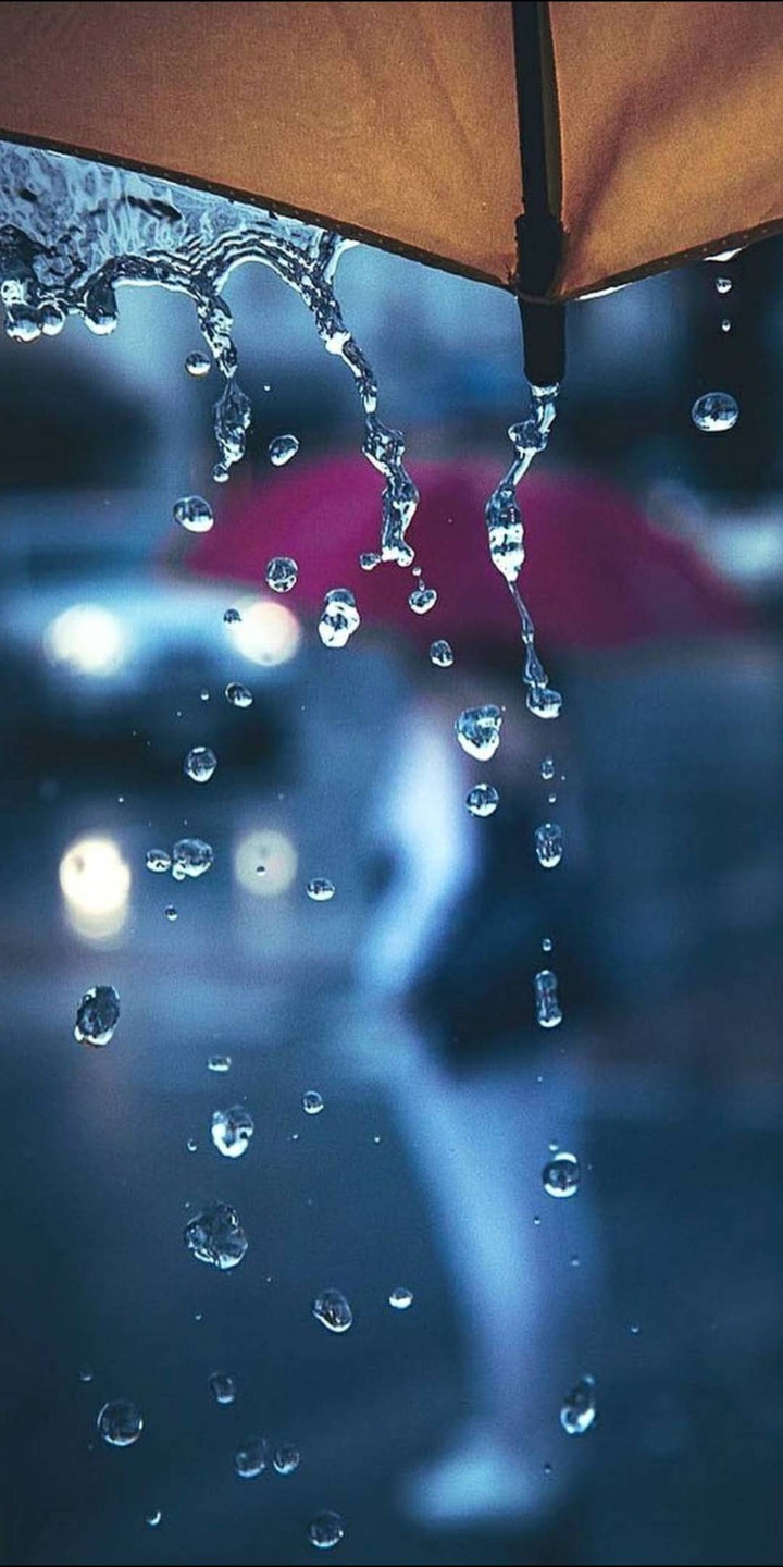 umbrella