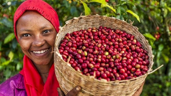 Coffee from Ethiopia