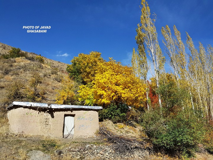 کلبه قدیمی