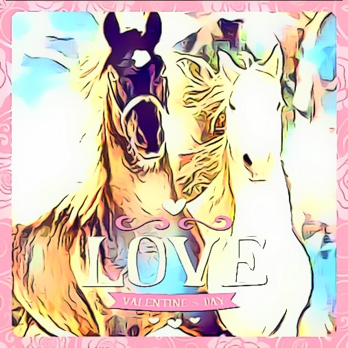 love horses