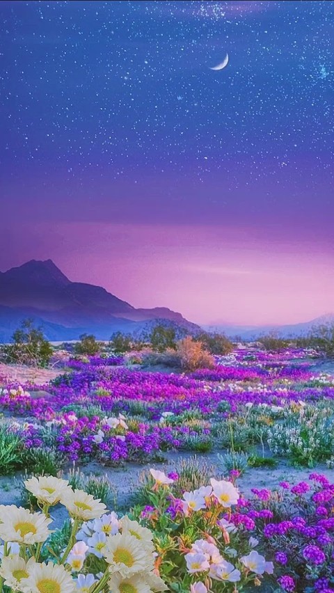 mountain, purple壁紙