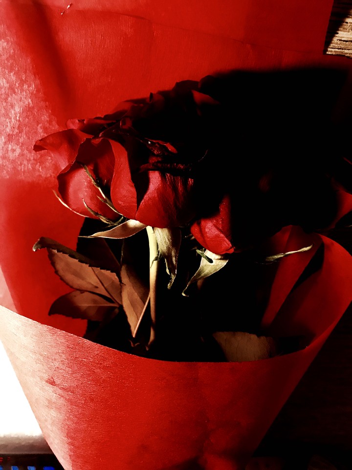 Roses