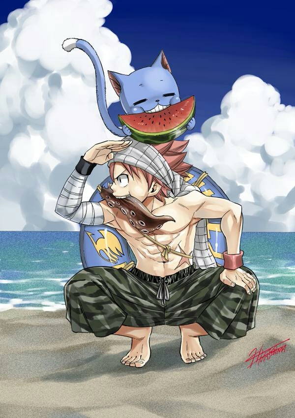 fairy tail