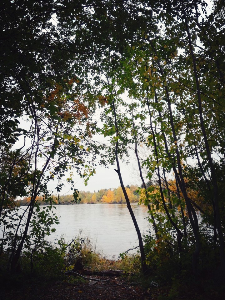 Autumn