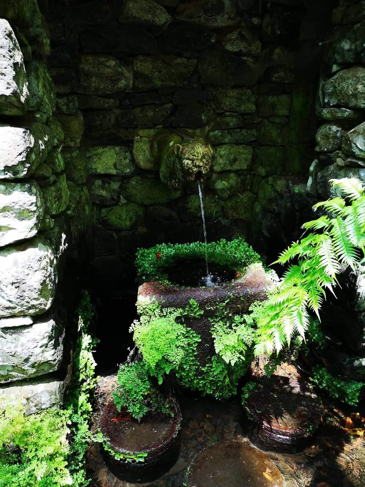 water in green
