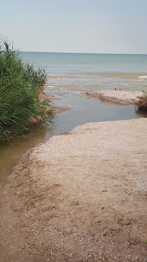 речка и море