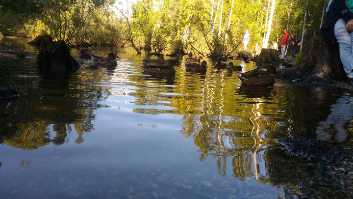 академгородок