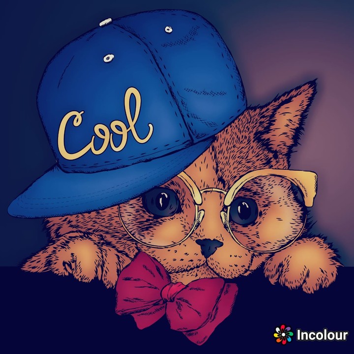 cool cat