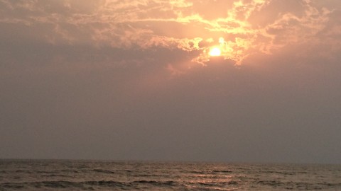 evening..