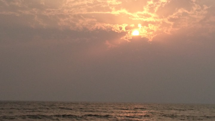 evening..
