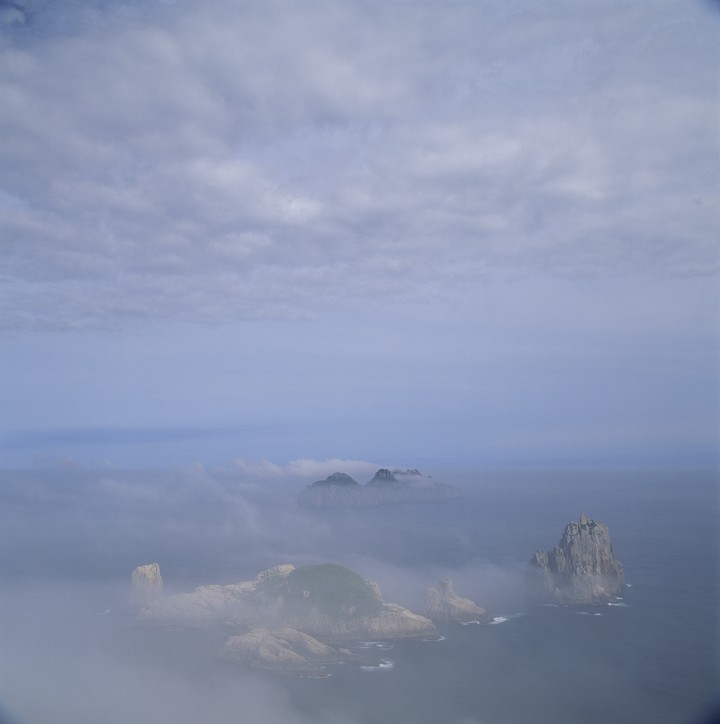 동양이미지