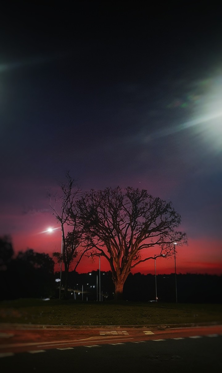 red Sky
