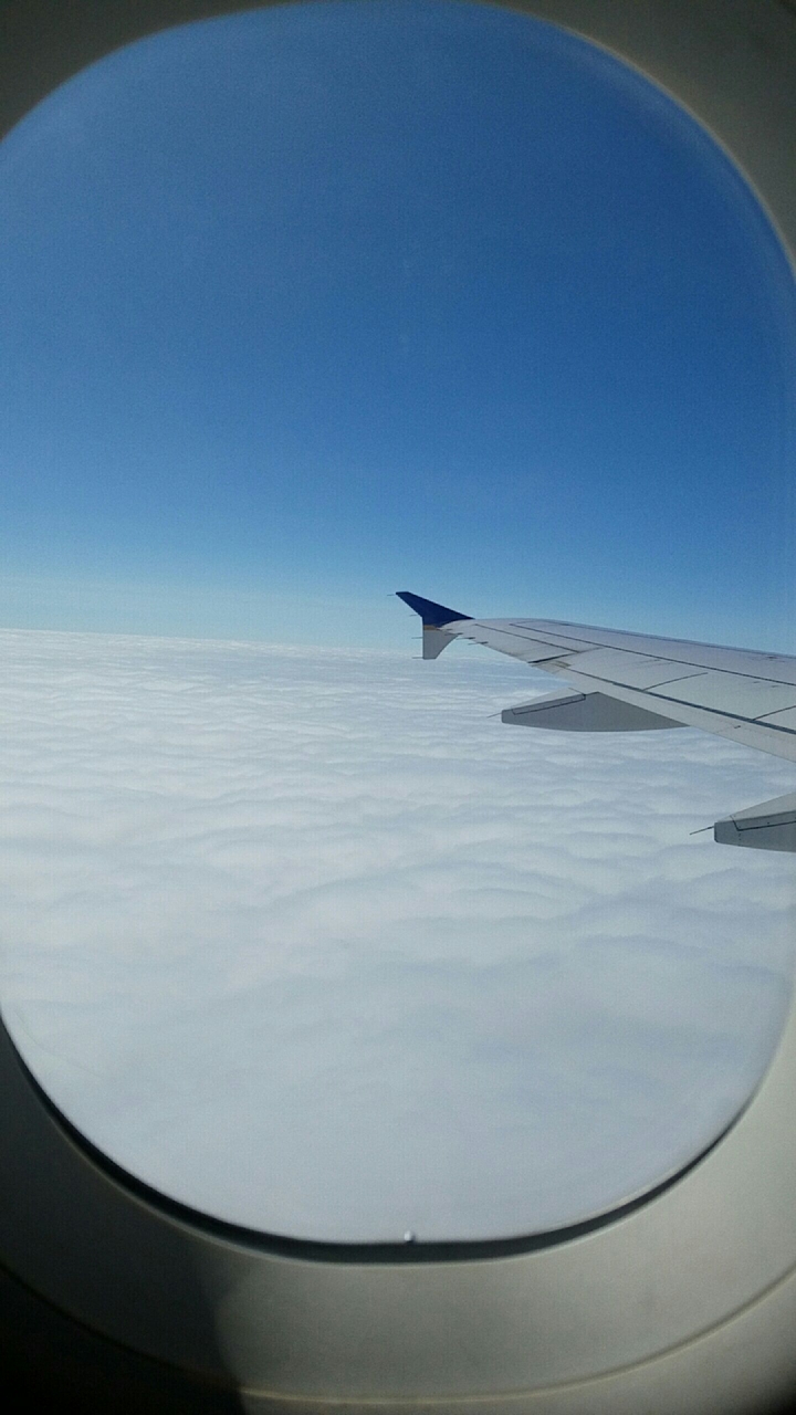 flight