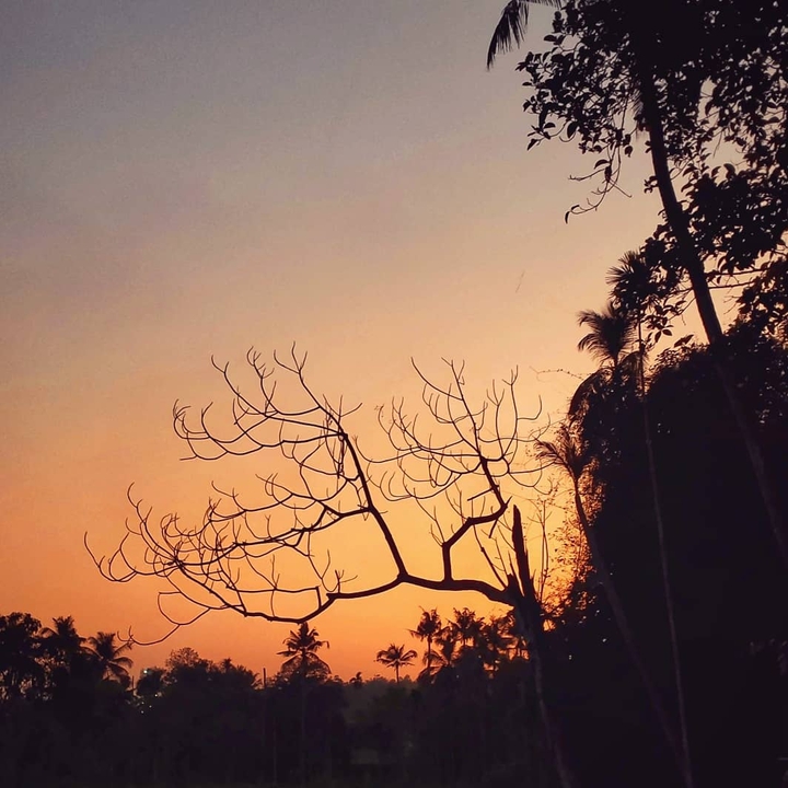 sun set