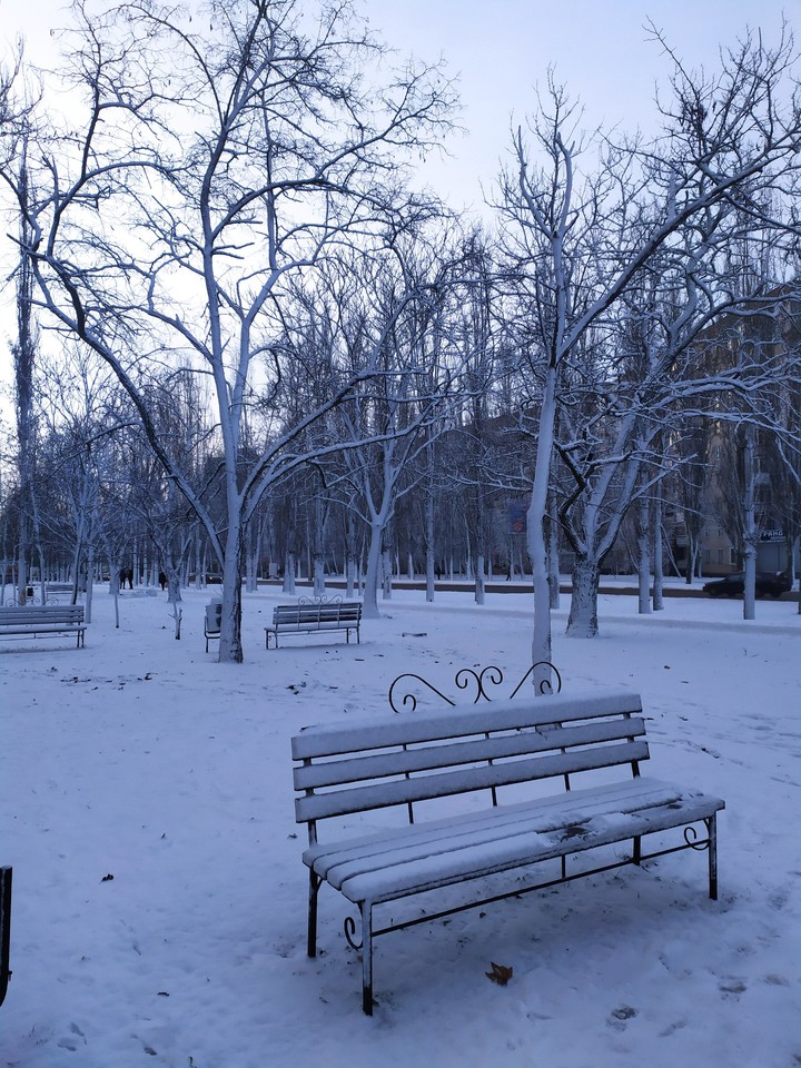 the park