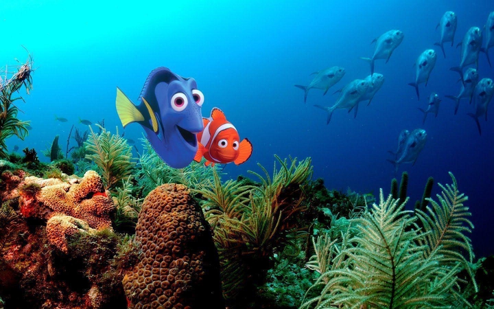 finding Nemo...
