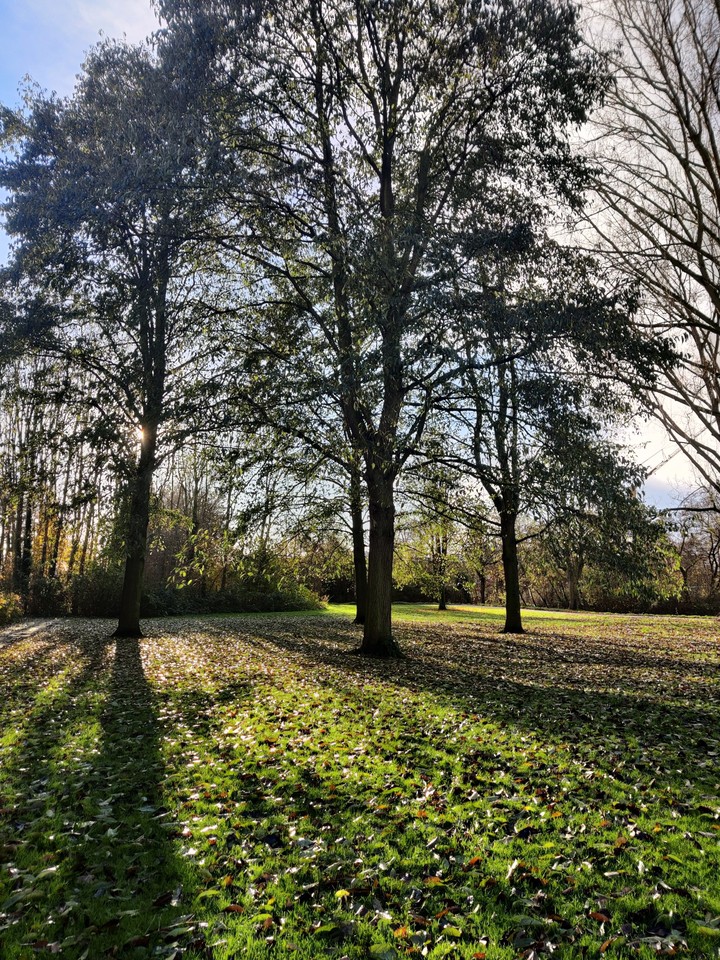 sunny day